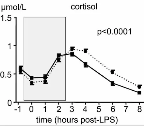 descenso cortisol wim hof
